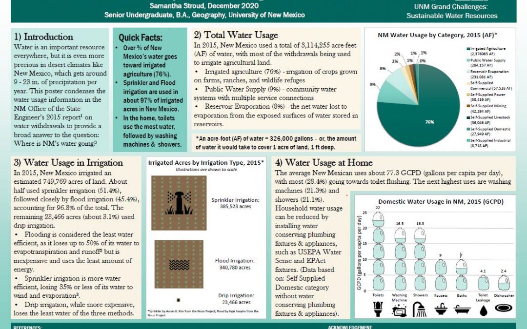 Still Waters Run Deep: Water Usage in New Mexico